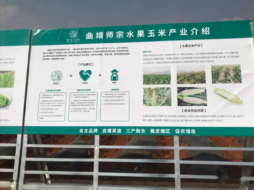 推廣有機肥改良土壤結構，云南國發助力師宗煙草綠色高質量發展